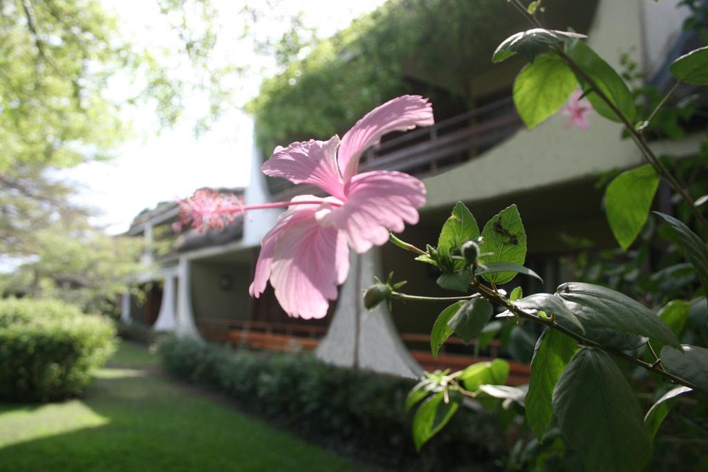 Hotel Club Du Lac Tanganyika Бужумбура Екстериор снимка
